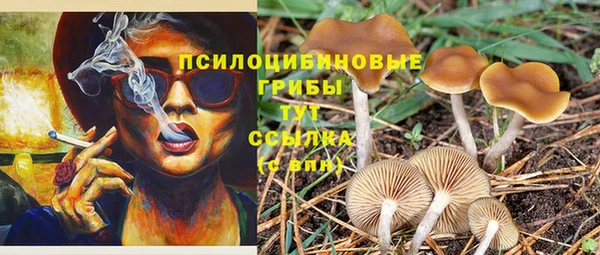 PSILOCYBIN Богородск